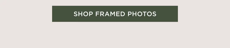 Shop Framed Photos
