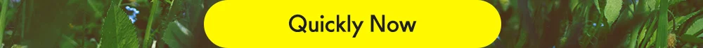 Quickly Now
