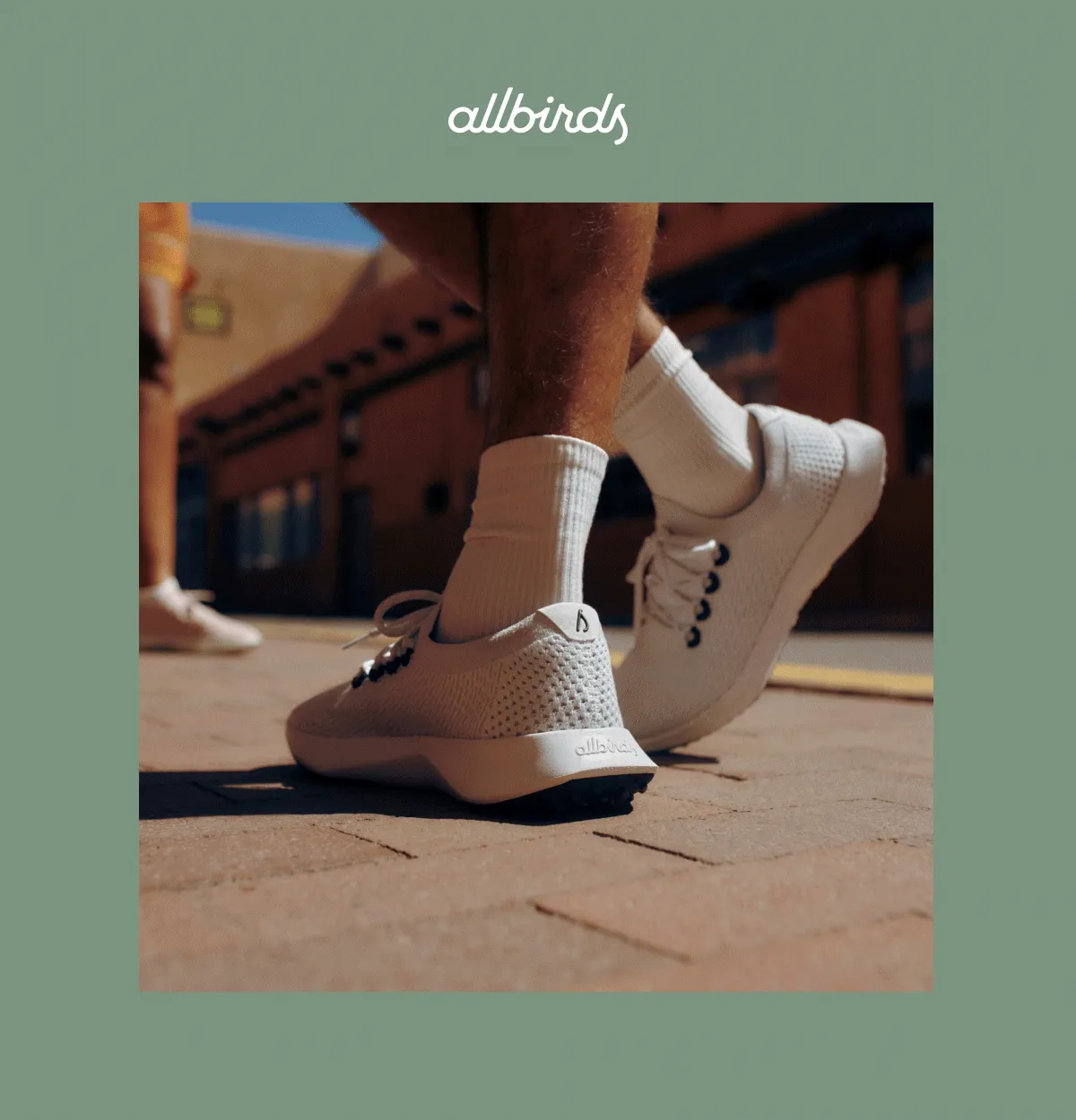 Allbirds Dasher Family