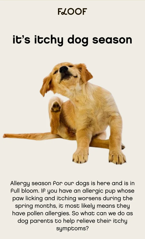 Floof website