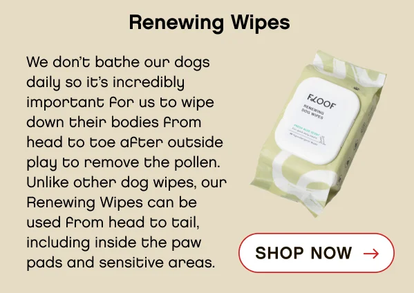 Floof Daily Care Kit