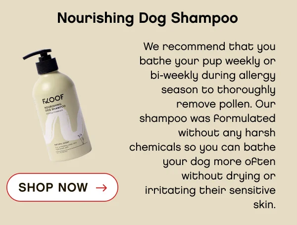 Floof Shampoo and Conditioner Duo
