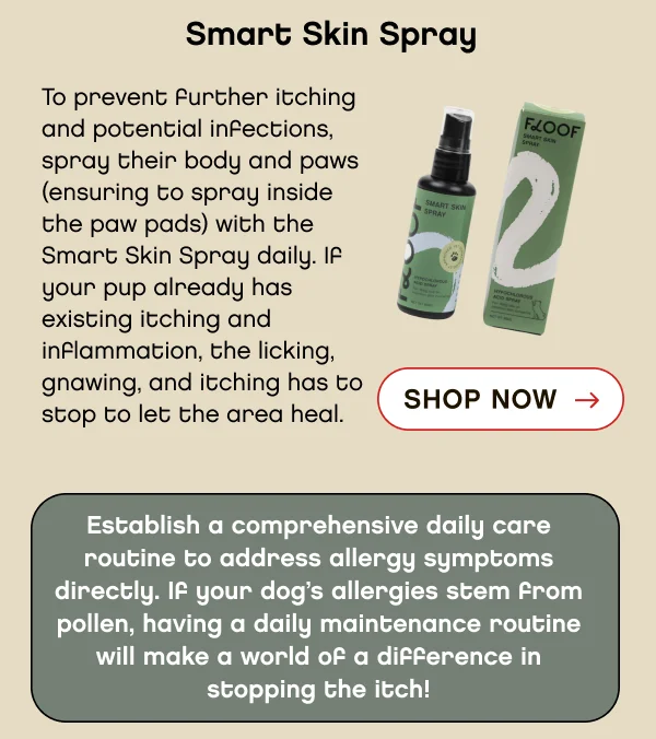 Floof Daily Care Kit