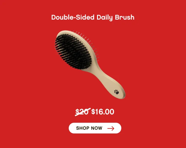 Floof Double-Sided Daily Brush