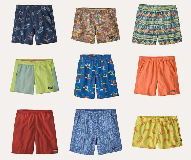 Patagonia WornWear Baggies Shorts