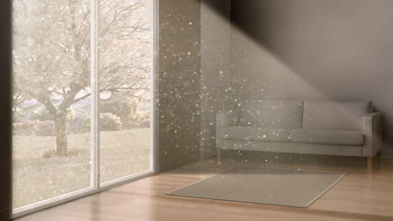 Allergens in the home