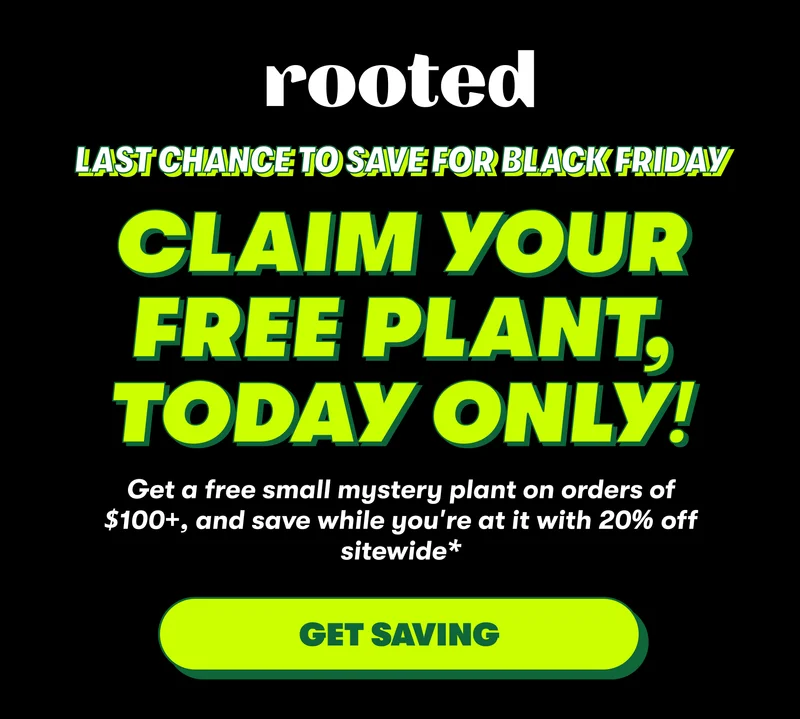 Last Chance to Save for Black Friday Claim your free plant, Today Only! Get a free small mystery plant on orders of $100+, and save while you're at it with 20% off sitewide* [GET SAVING]