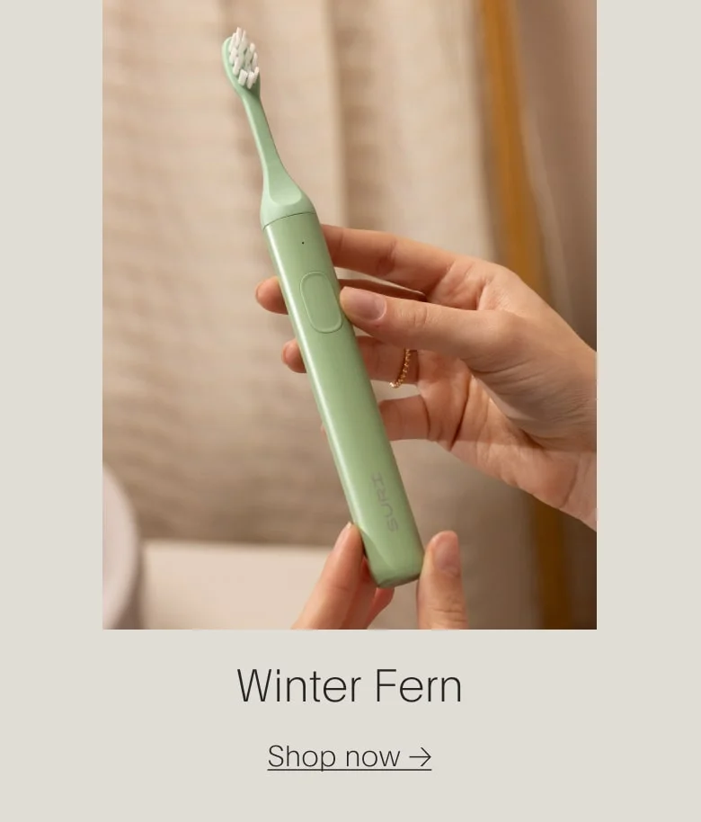 Winter Fern