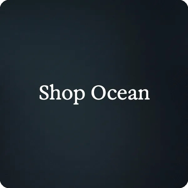 Shop Ocean
