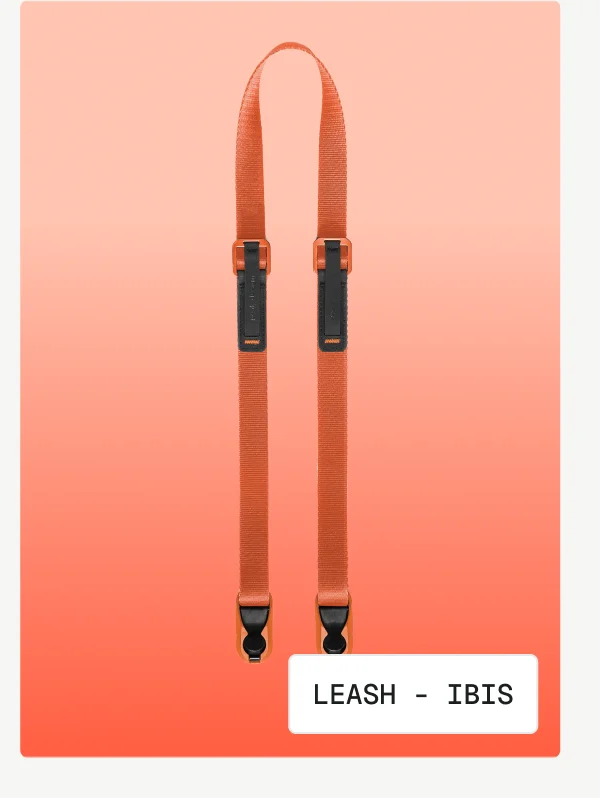 Leash - Ibis