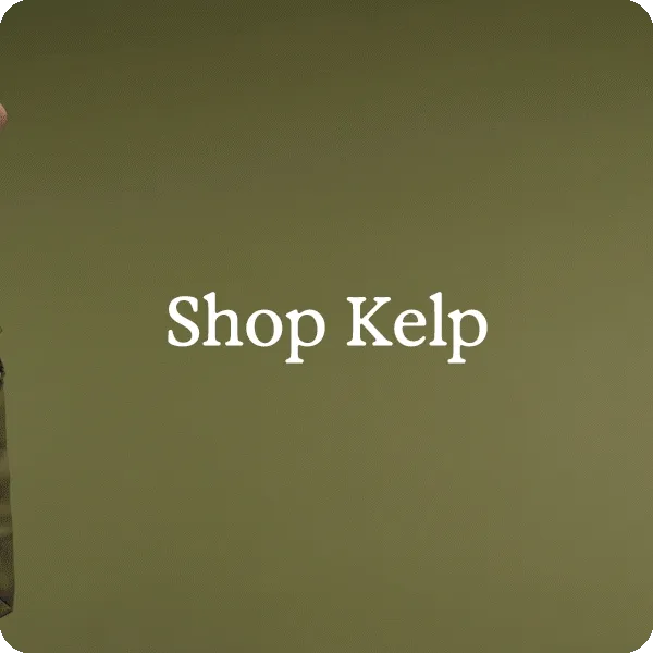 Shop Kelp