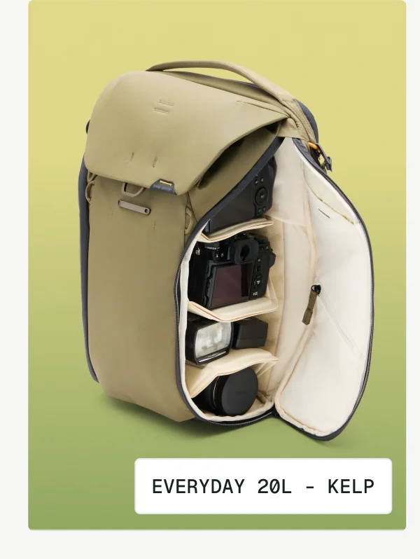 Everyday Backpack 20L - Kelp
