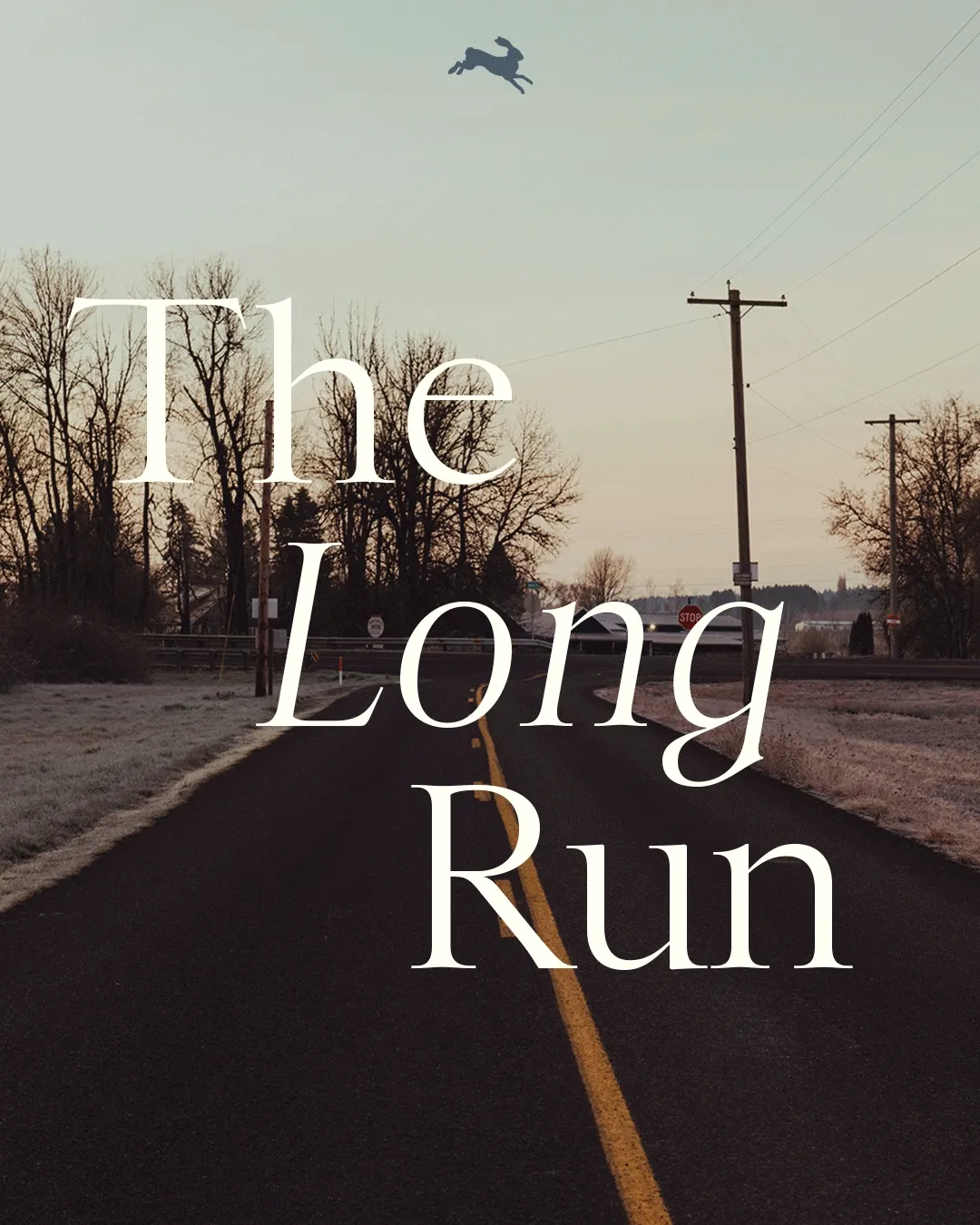 The Long Run