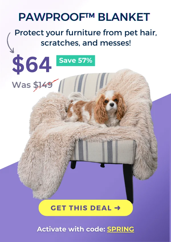 PawProof Blanket