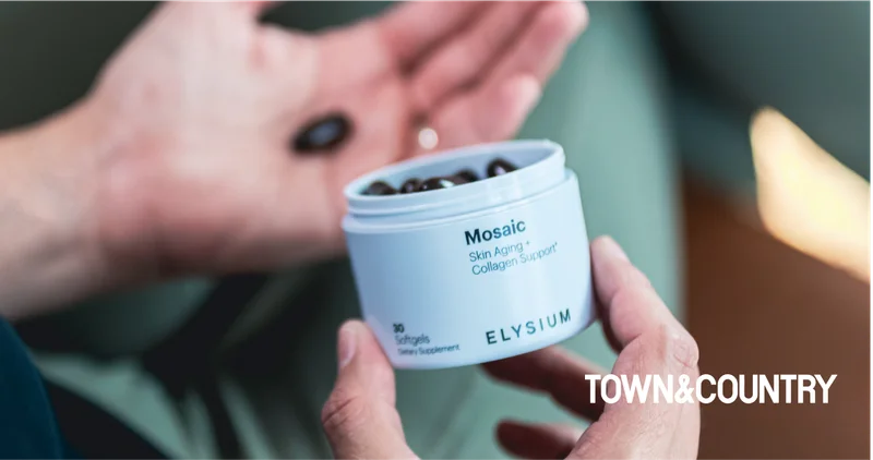 Mosaic | ELYSIUM | TOWN&COUNTRY