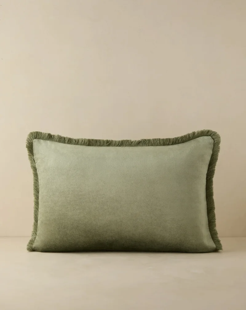 Shop Brandis Velvet Pillow