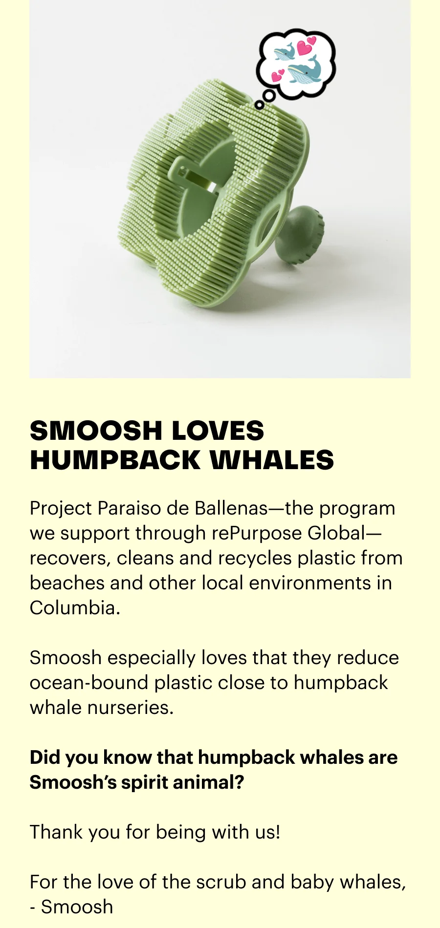 SMOOSH LOVES HUMPBACK WHALES. Project Paraiso de Ballenas—the program we support through rePurpose Global—recovers, cleans and recycles plastic from beaches and other local environments in columbia. Smoosh especially loves that they reduce ocean-bound plastic close to humpback whale nurseries. Did you know that humpback whales are Smoosh's spirit animal? Thank you for being with us!  For the love of the scrub and baby whales, Smoosh.