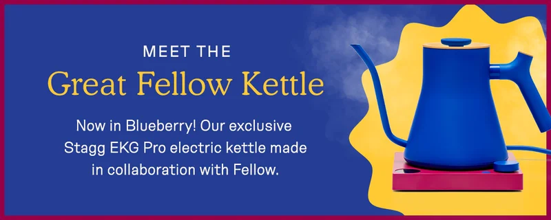 Great Fellow now in Blueberry