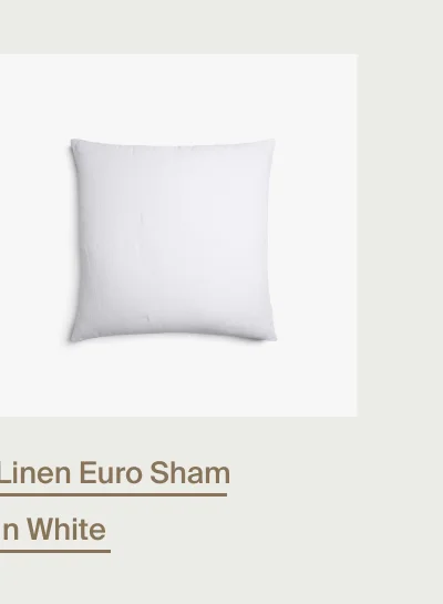 Linen Euro Sham in White