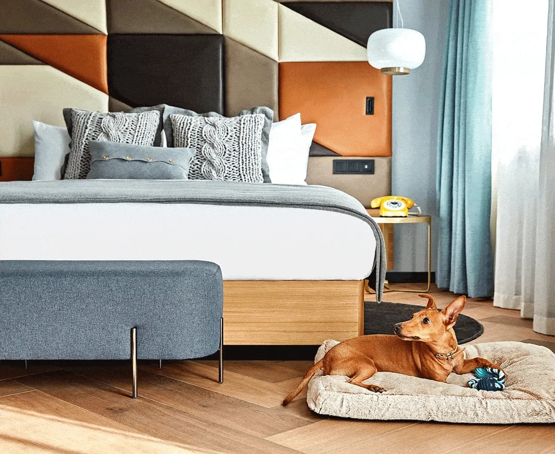 Image Descriptions: A rotating gif of a dog laying on a dog bed in a hotel room next to a bed with gray and white blankets and pillows. Two double beds with navy blue velvet headboards in a hotel room. A hotel bed next to a gold-trimmed closet with two white robes inside.
