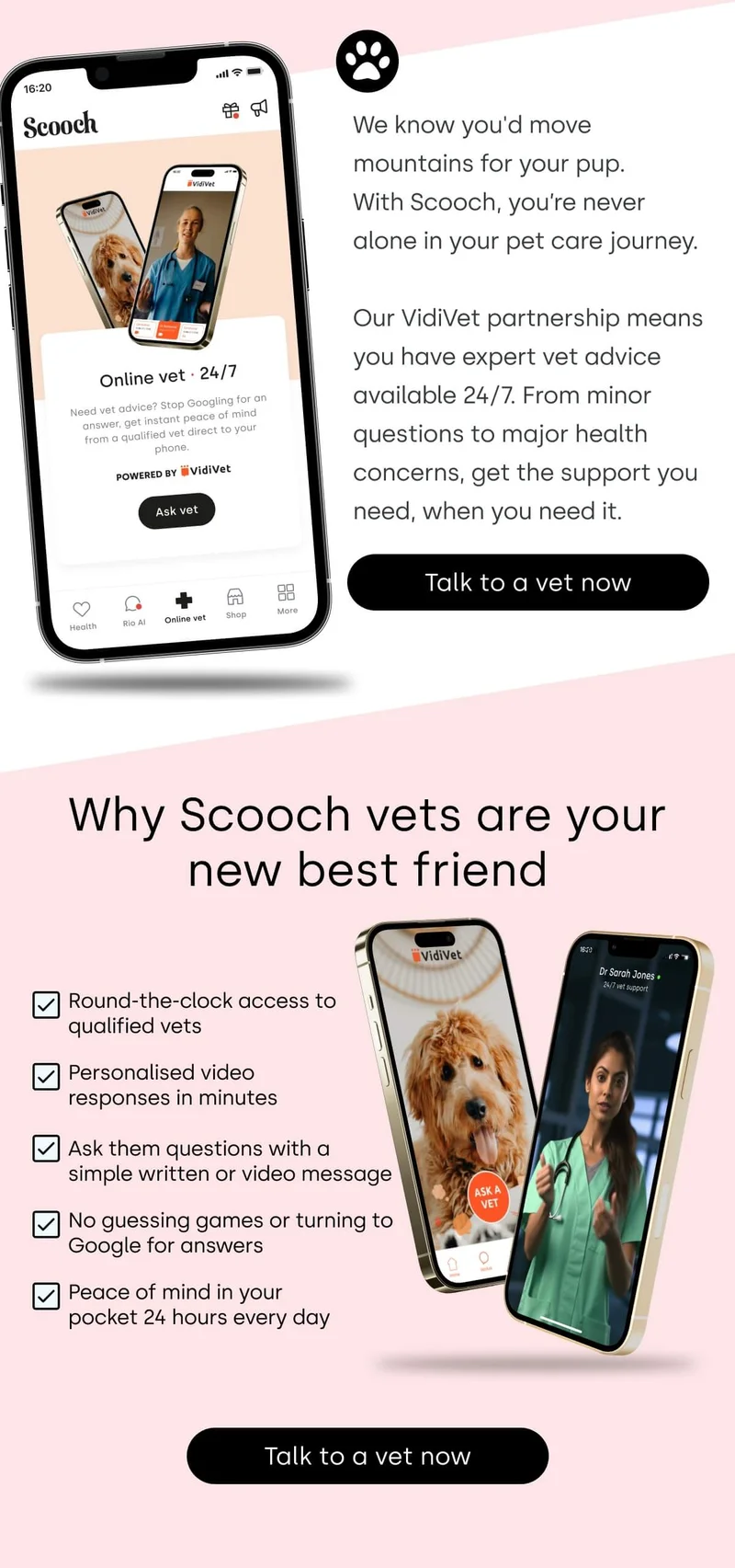 Why Scooch vets are your new best friend - Talk to a vet now