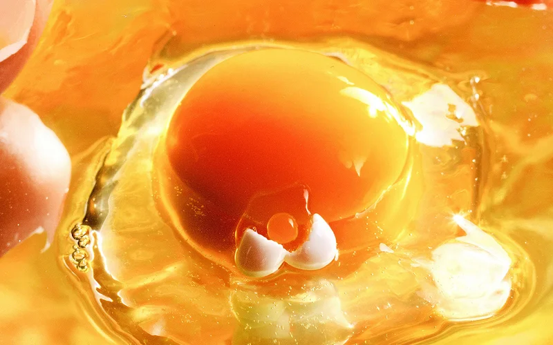 Egg yolks