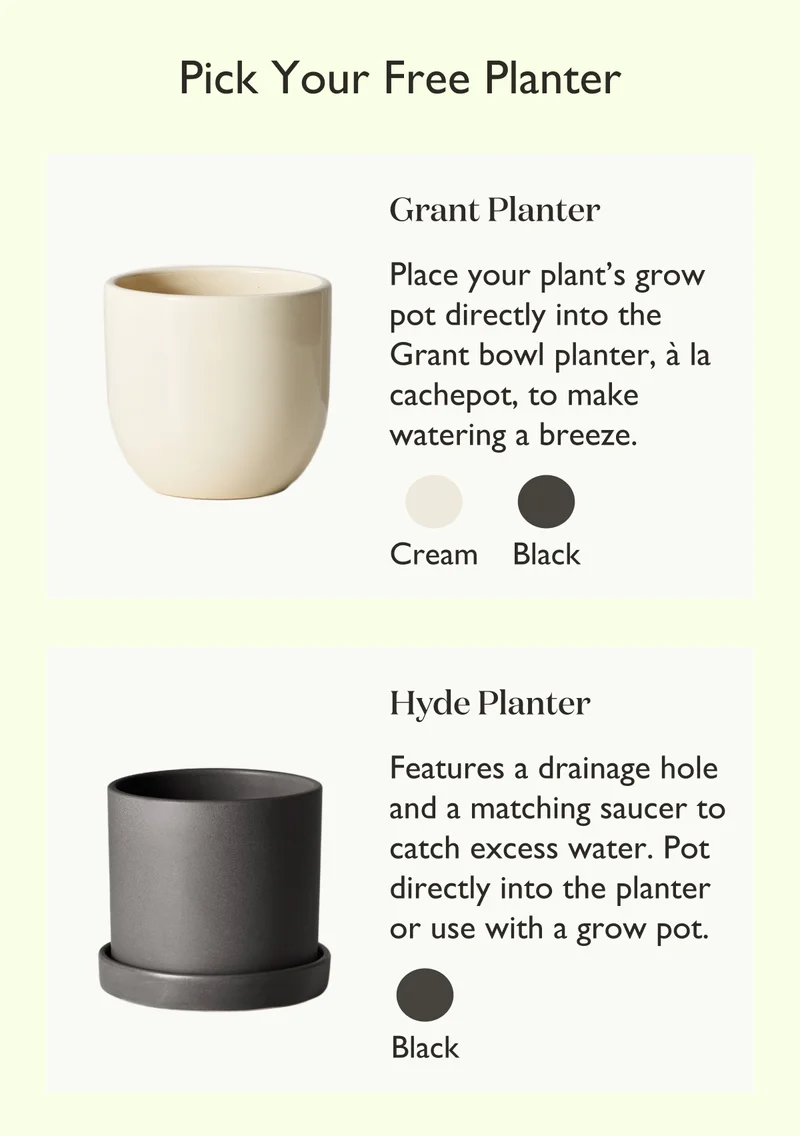 Pick your free planter: Grant or Hyde