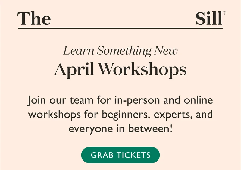 April Workshops: Join our team for in-person and online workshops for beginners, experts, and everyone in between! Grab tickets now.
