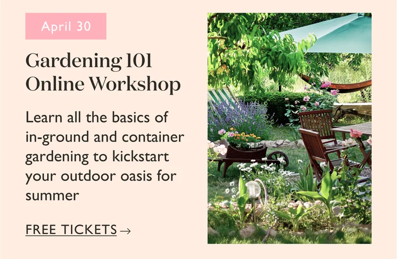 Gardening 101 Online Workshop: Learn all the basics of in-ground and container gardening to kickstart your outdoor oasis for summer.