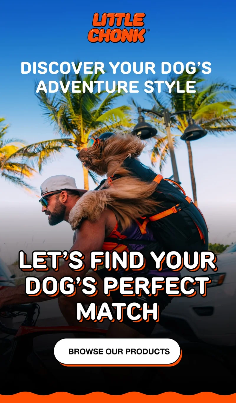 DISCOVER YOUR DOG’S ADVENTURE STYLE