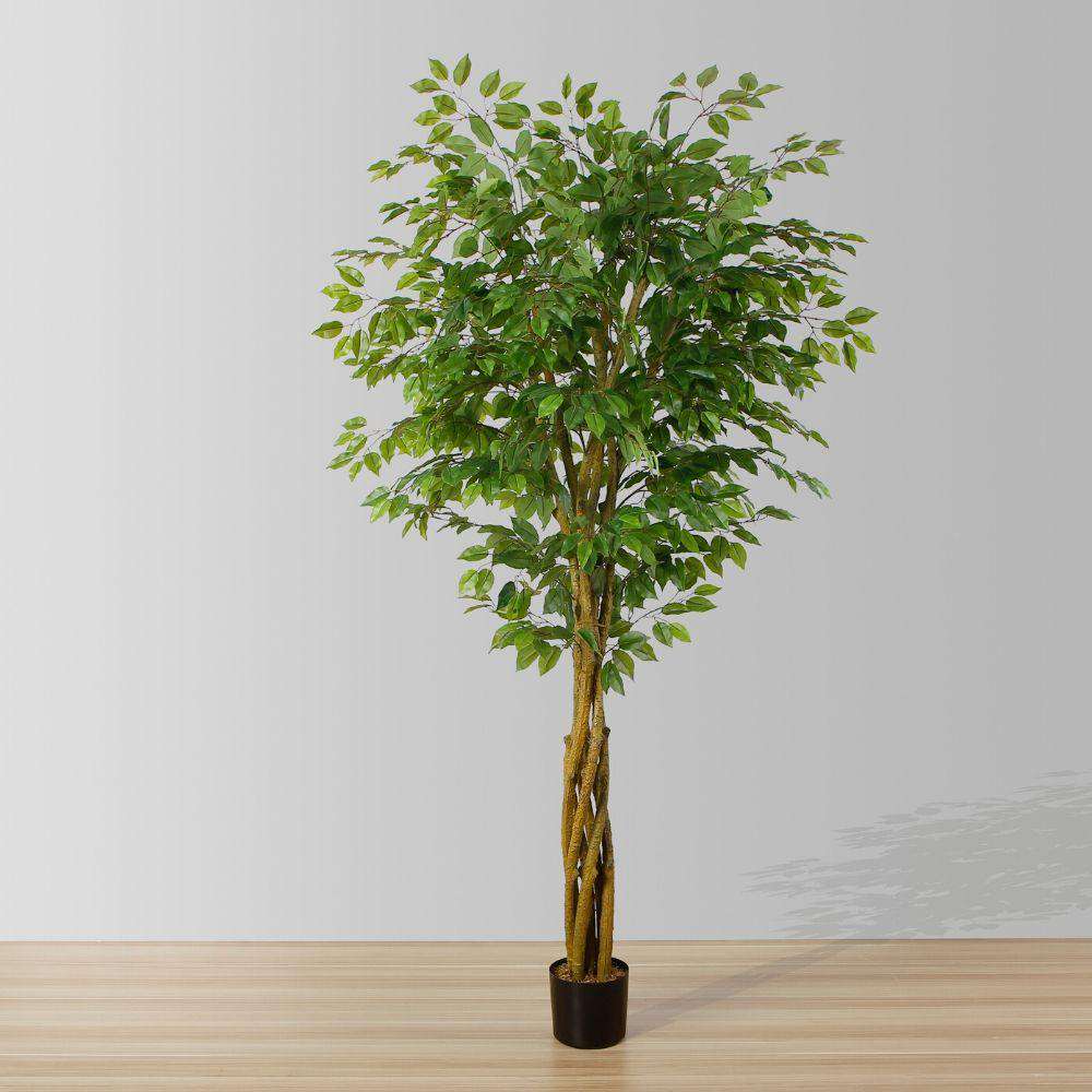 Image of Bea Artificial Ficus Potted Plant 6.5’