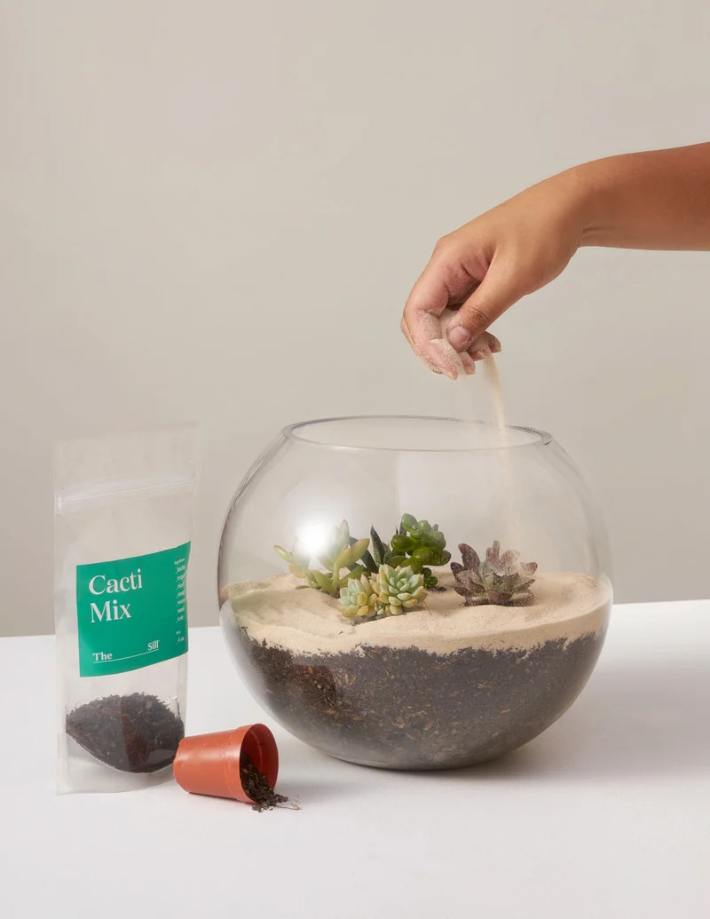 Image of DIY Terrarium Kit, $90