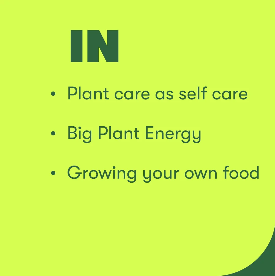 IN: Plant care as self care, Big plant energy, Growing your own food