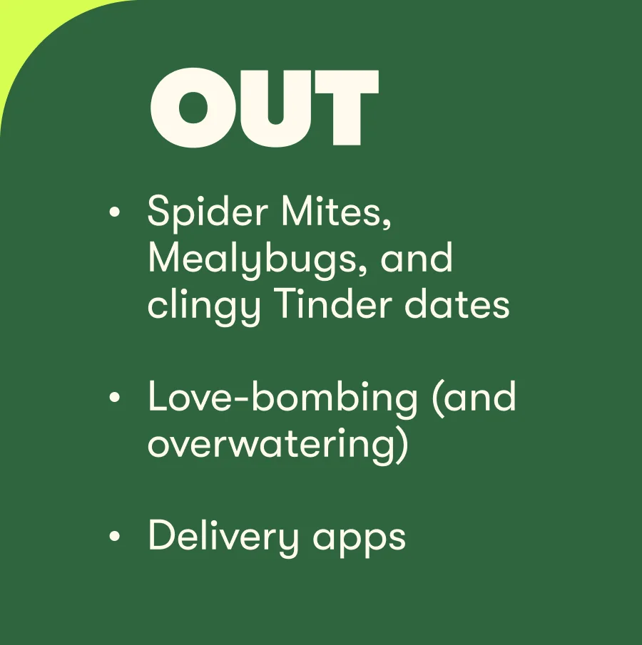 OUT: Spider Mites, Mealybugs, and clingy Tinder dates, Love-bombing (and overwatering), Delivery apps