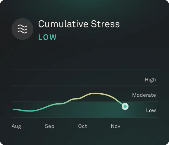Cumulative Stress UI