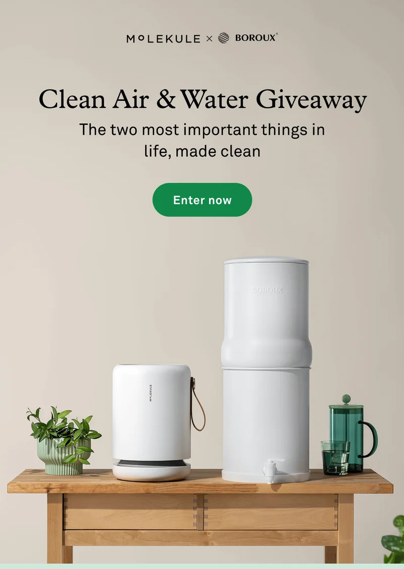 Clean Air and Water Giveaway with Molekule x Boroux