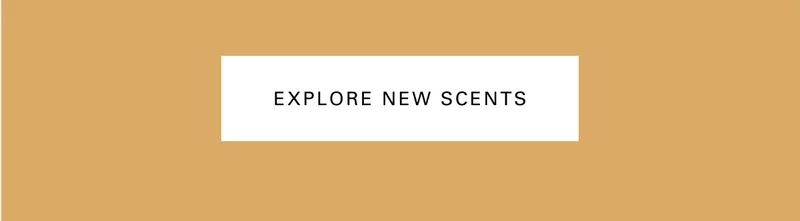 EXPLORE NEW SCENTS