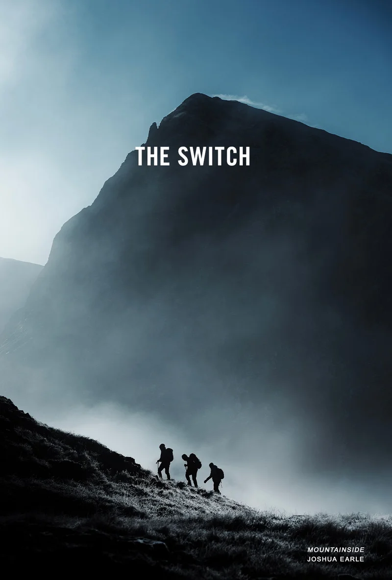 THE SWITCH