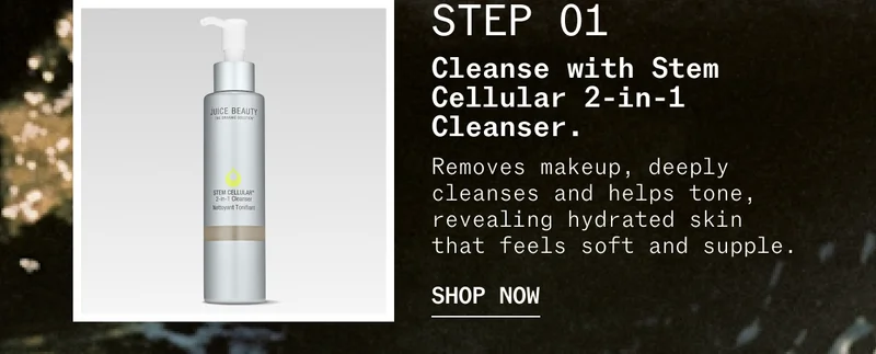 2-in-1 Cleanser