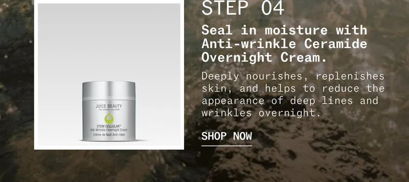 Anti-Wrinkle Ceramide Overnight Cream