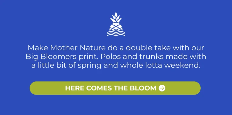HERE COMES THE BLOOM