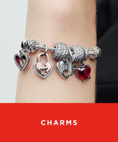 Shop Charms