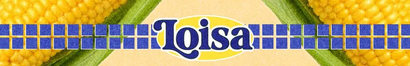 Loisa