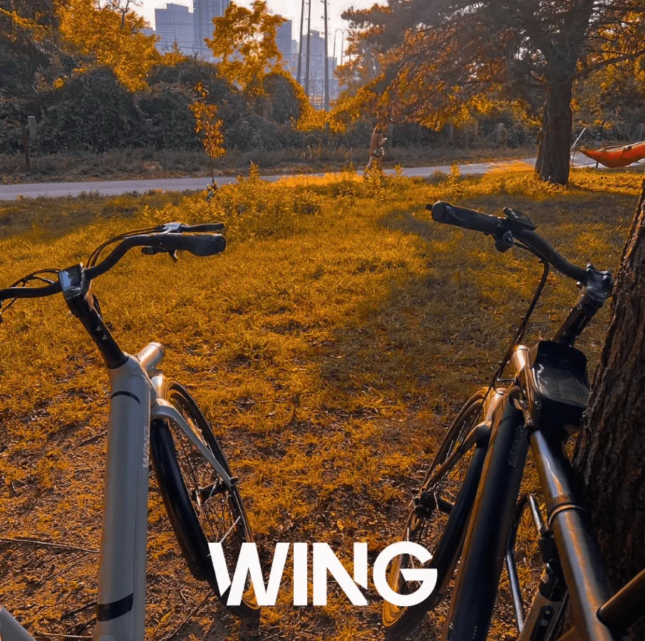 Wing