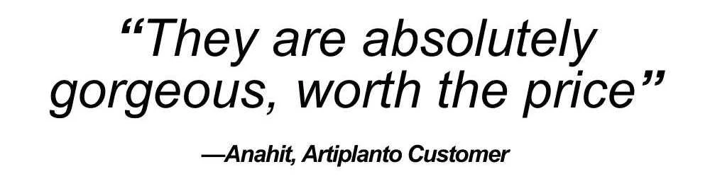 Artiplanto