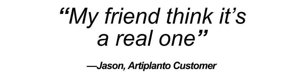 Artiplanto