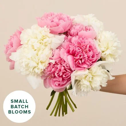 XL California Peonies Bouq
