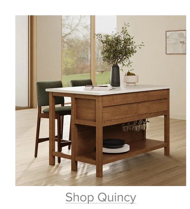 Shop Quincy