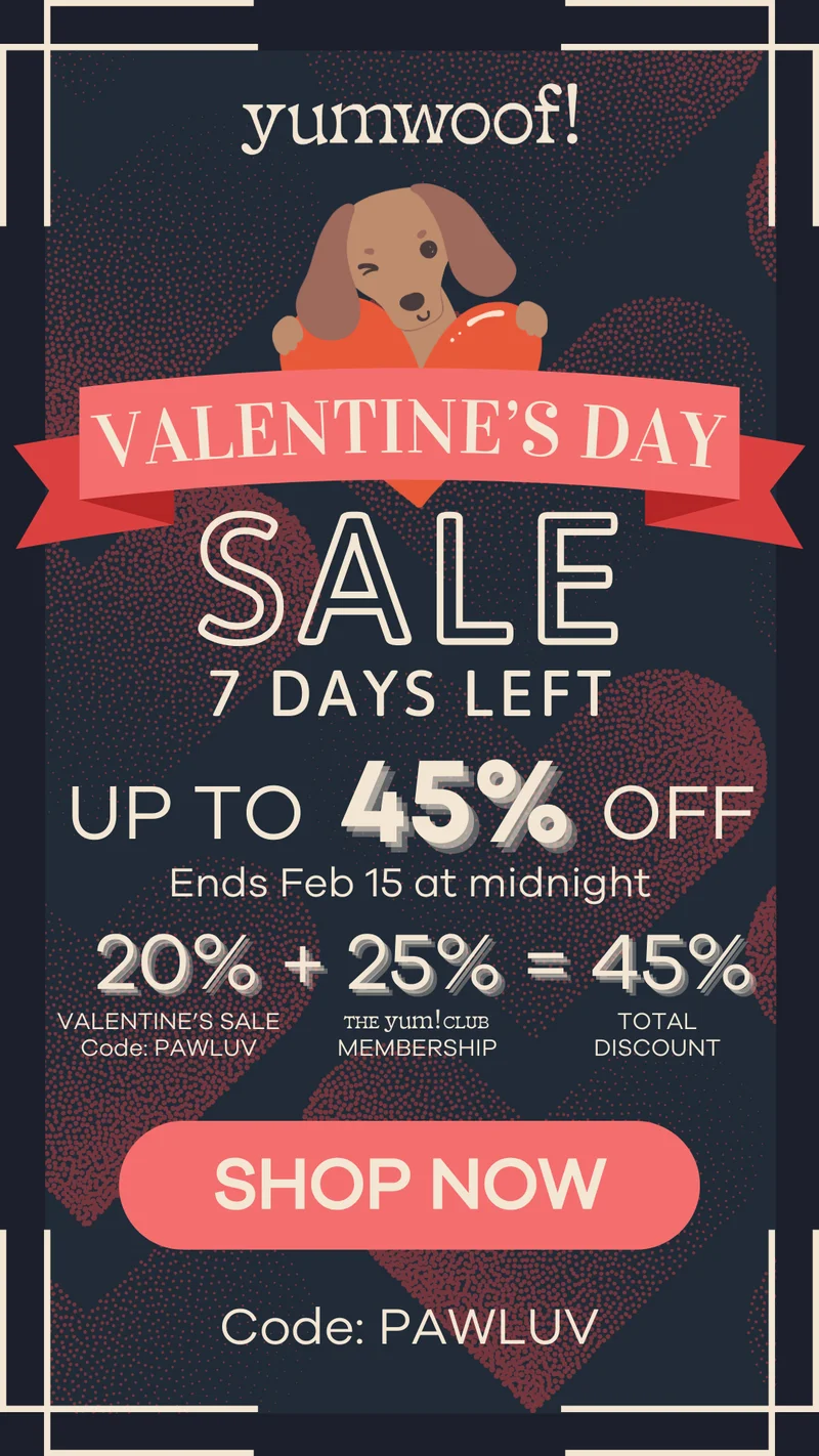 Valentine's Day sale - up to 45% off! Use code discount code