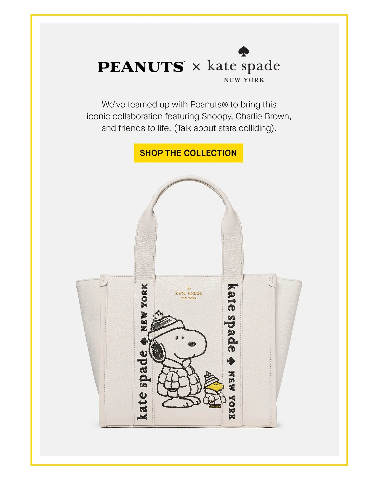 SHOP THE COLLECTION
